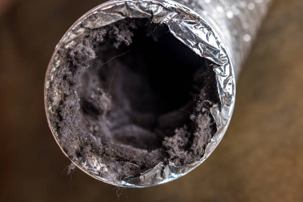 Best Professional Duct Cleaning Services  in Jemez Pueblo, NM